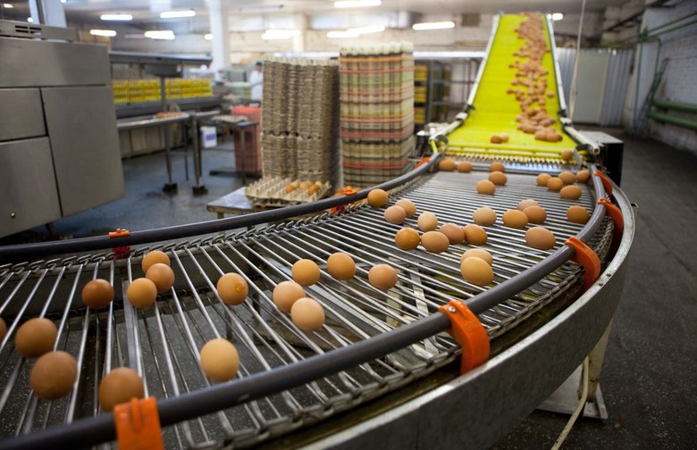 Iowa is America's Top Egg-Producing State