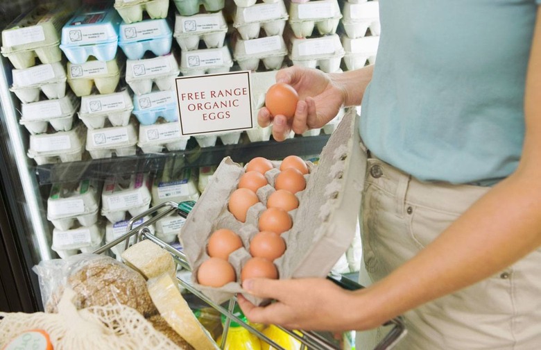 Only 1.8 Percent of Eggs are Laid in Organic Conditions