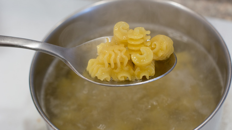 cooked pasta on spoon