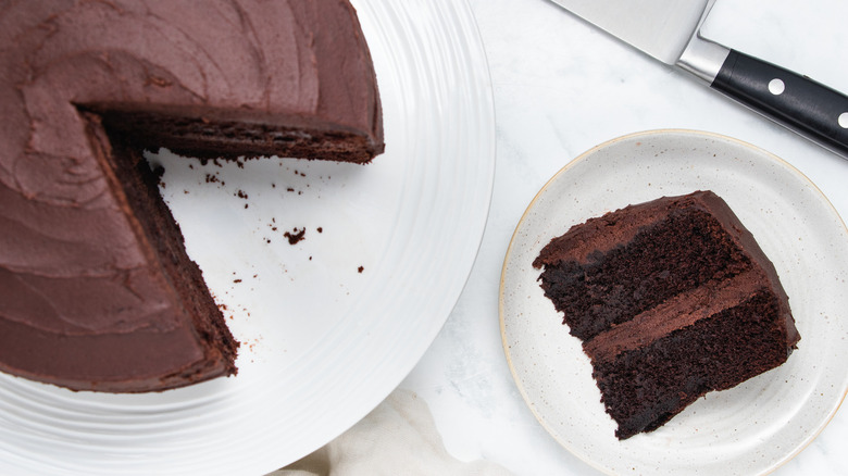2-layer chocolate cake slice 