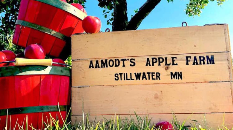 Aamodt's Apple Farm Minnesota
