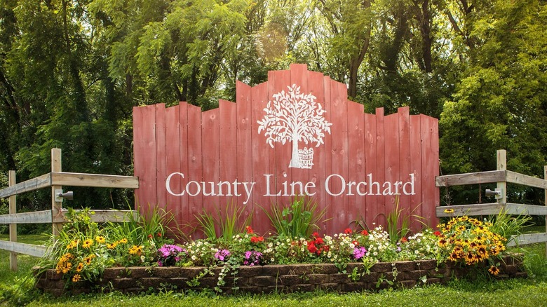 County Line Orchard Indiana