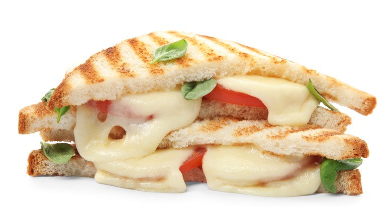 Mozzarella grilled cheese sandwich