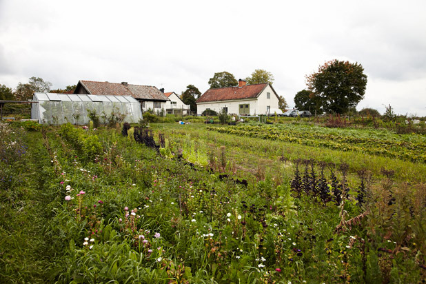 7. Frantzén/Lindeberg (Stockholm) 