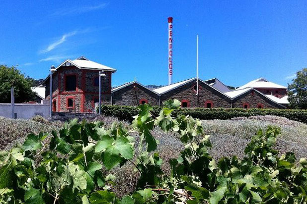 12) Magill Estate Restaurant at Penfolds Magill Estate (Adelaide, Australia)