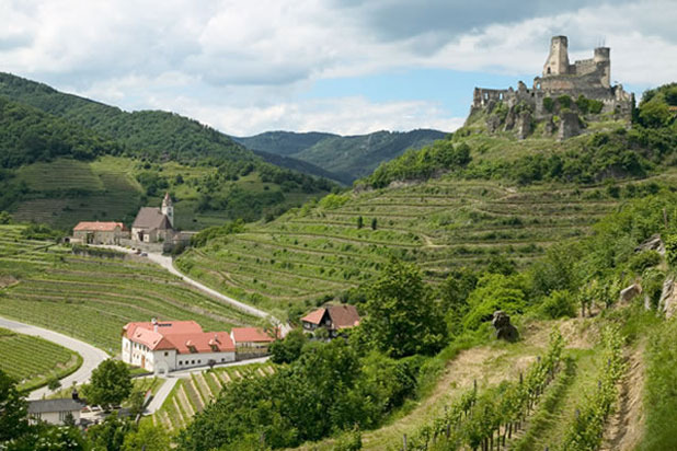 18) Restaurant at Weingut Nigl (Senftenberg, Austria)