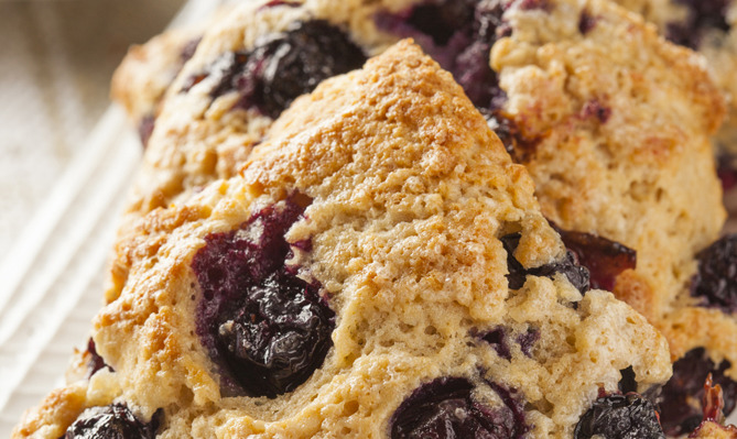 Coffee House Blueberry Scones Recipe