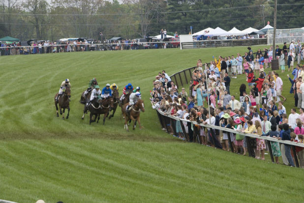 University of Virginia Foxfield Race