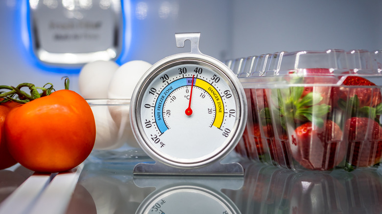 thermometer in refrigerator