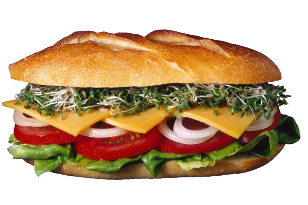 14. Vegetarian Sandwich