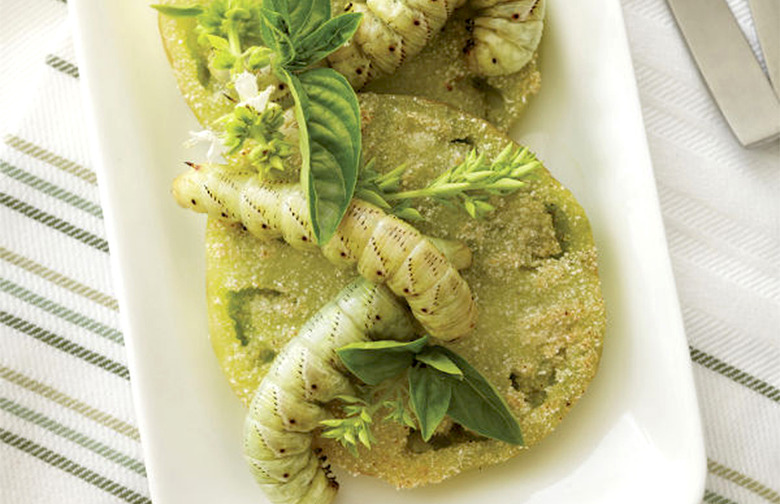 Fried Green Tomato Hornworms Are an Acquired Taste