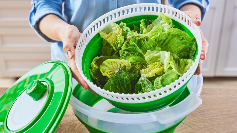 lettuce in salad spinner