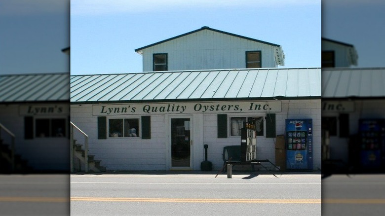 Lynn's Quality Oysters Eastpoint