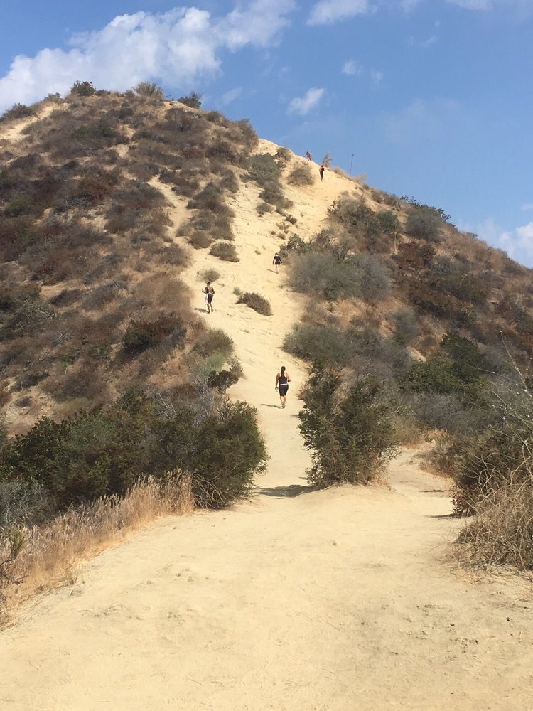 "Runyon"