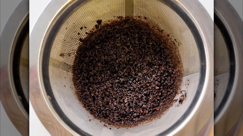 wet coffee grounds in filter