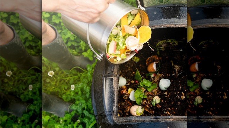 pouring compost into bin