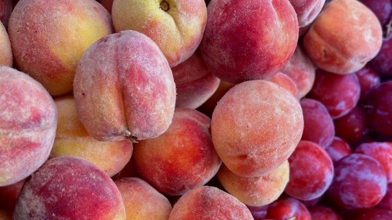 Fresh fuzzy peaches