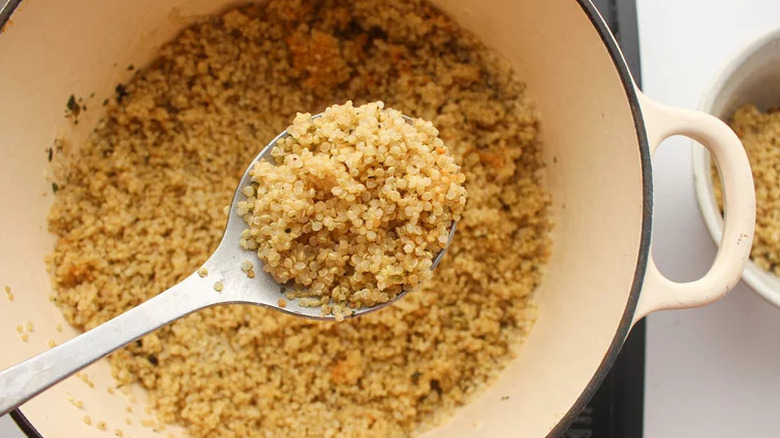 Spoon full of cooked quinoa