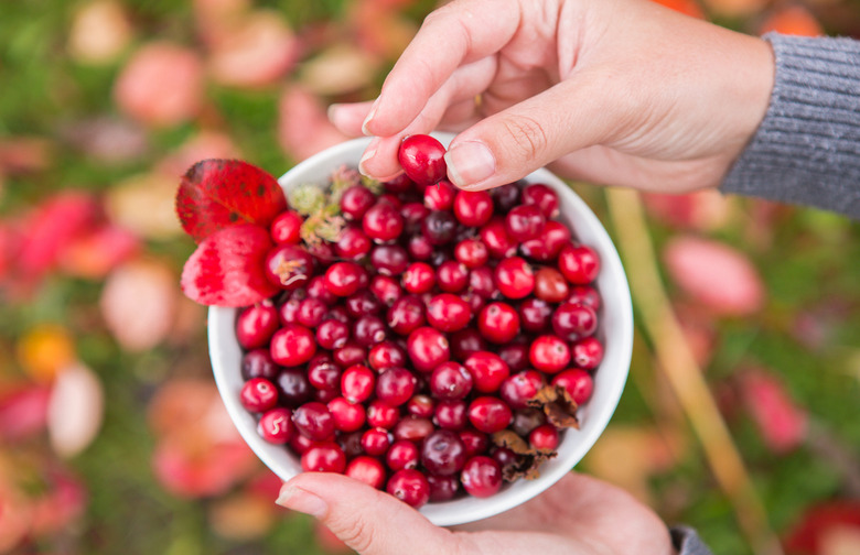 Summer Berry-Picking