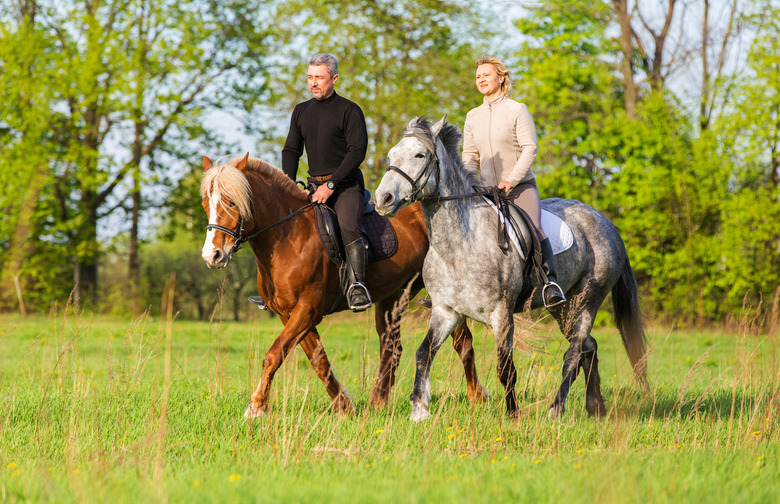 Horseback Riding