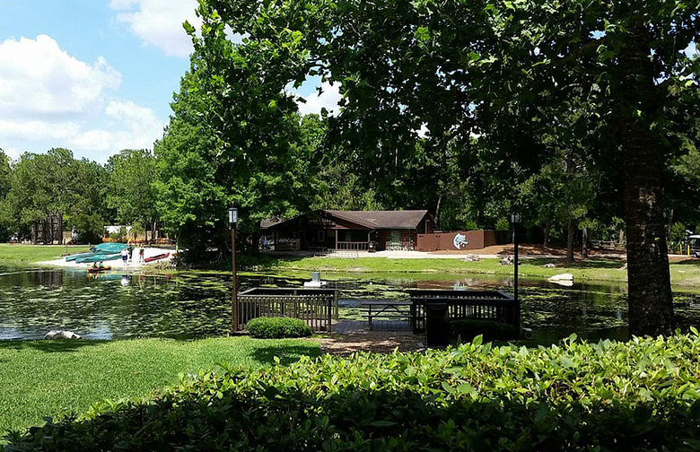 Explore Fort Wilderness in a Golf Cart