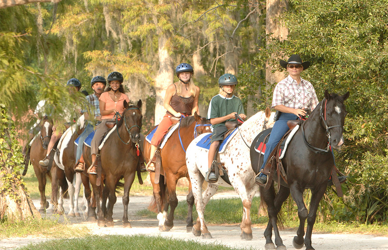 Go Horseback Riding