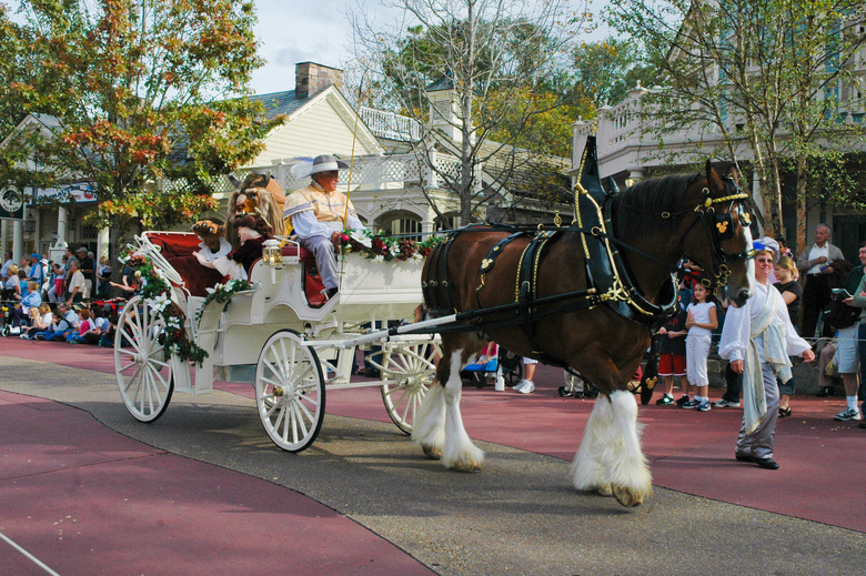 Take a Carriage Ride