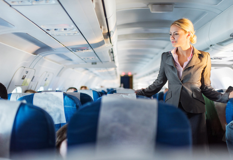 free porn stewardess jerk off on plane