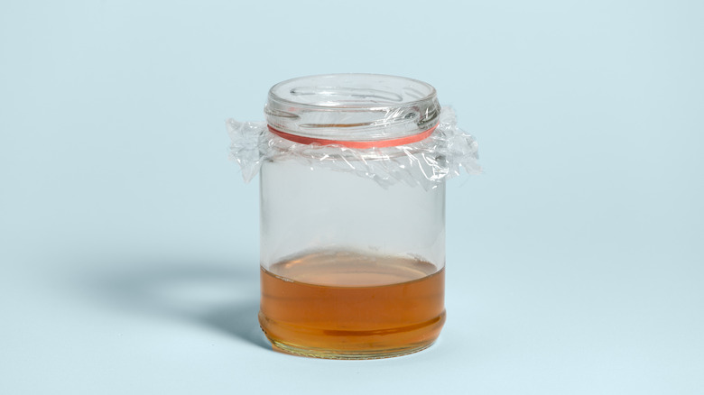 apple cider vinegar gnat trap