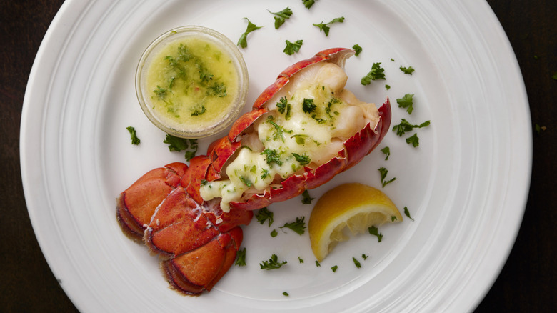 lobster tail with lemon wedge and melted herbed butter on a white plate