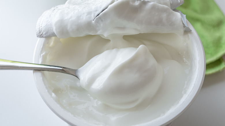 Spoon of Greek yogurt