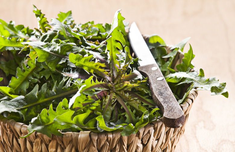 Dandelion Greens With a Fried Egg, Croutons, and Anchovy Dressing