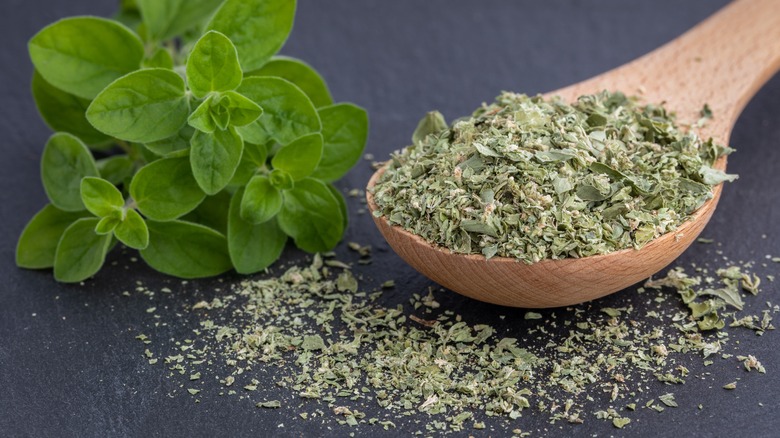 dried oregano on wooden spoon