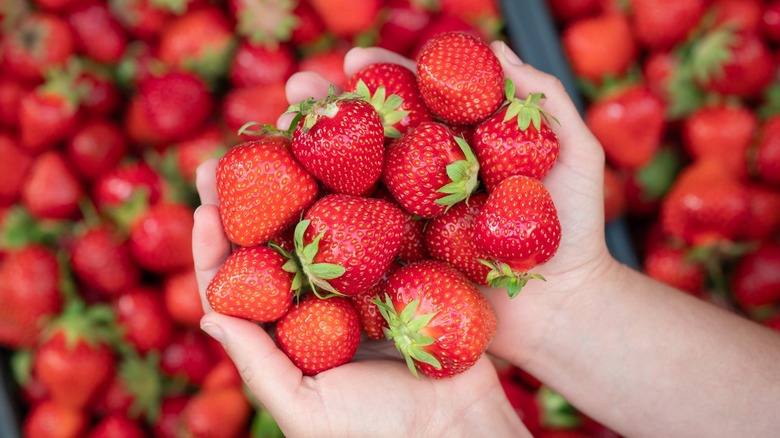 baskets of tomatoes and strawberries