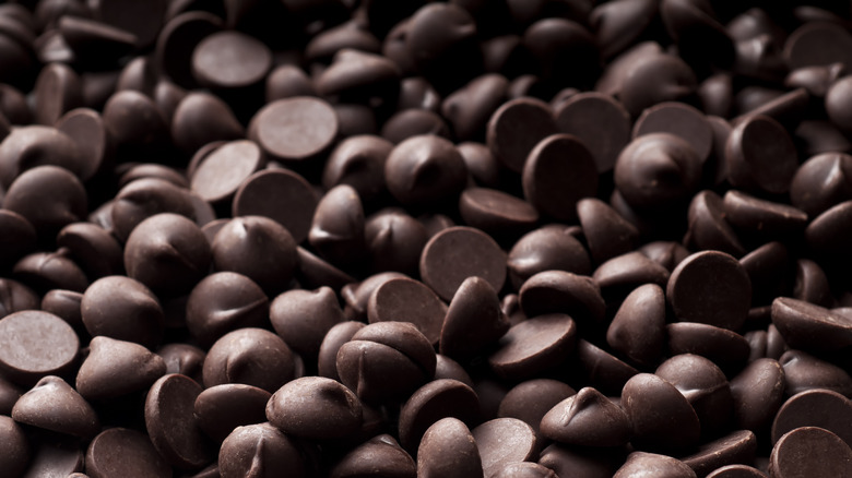 close up of chocolate chips