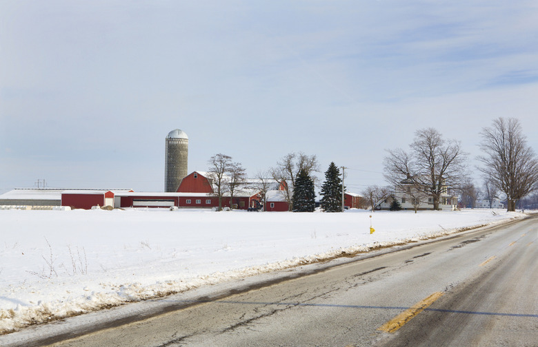 Buffalo, N.Y.