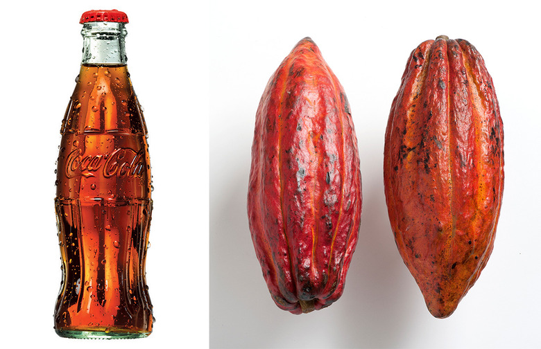 The bottle was modeled after the cocoa pod