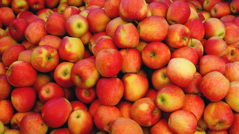 bunch of ambrosia apples