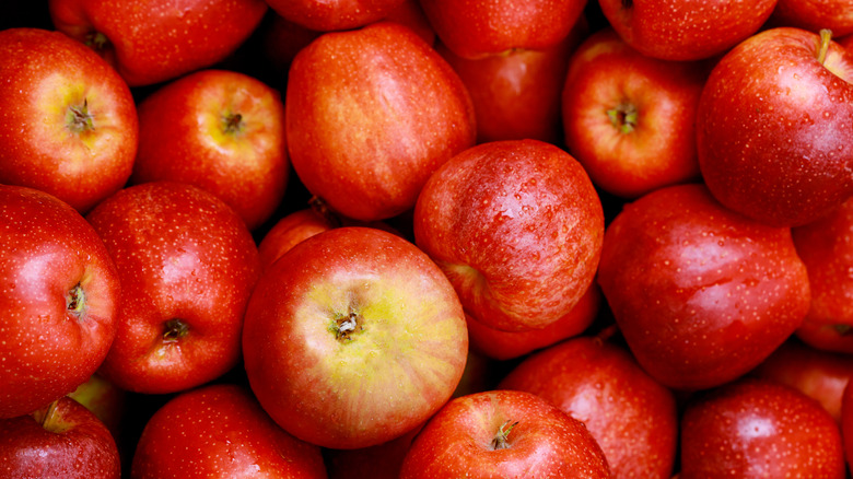 close up of cortland apples