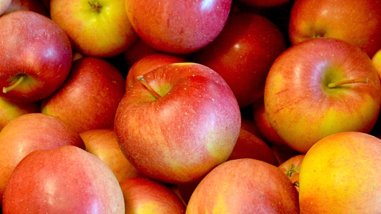 close up of winesap apples