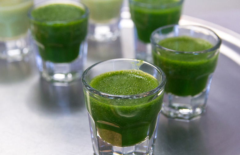 Chlorophyll Shot