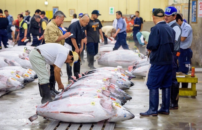 $1.8M Bluefin Tuna 