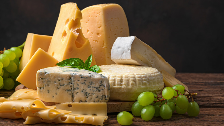 Blocks of various cheeses