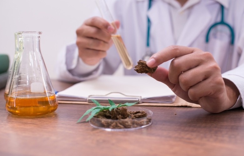 CBD products could be hiding THC