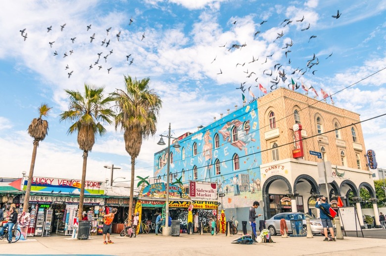 Venice Beach (Los Angeles, California) 