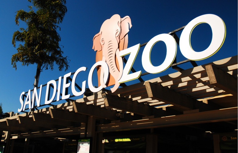 San Diego Zoo (San Diego, California) 