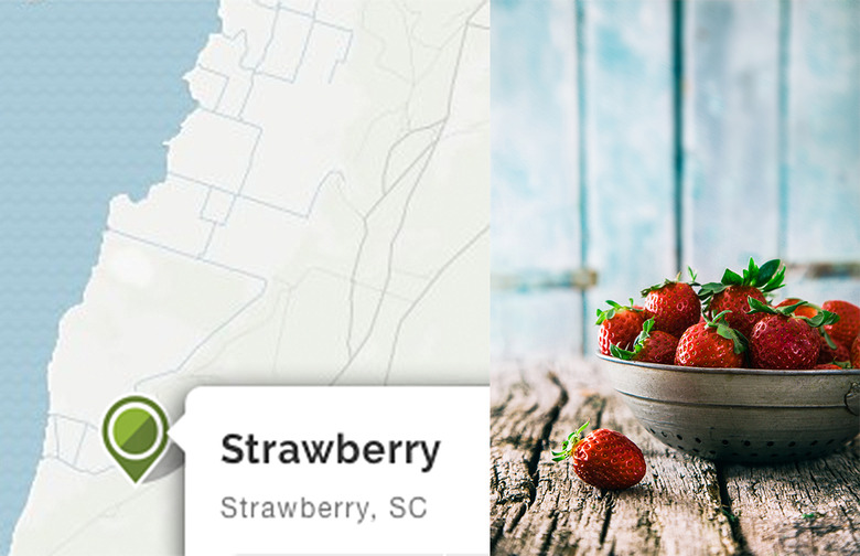 Strawberry, South Carolina