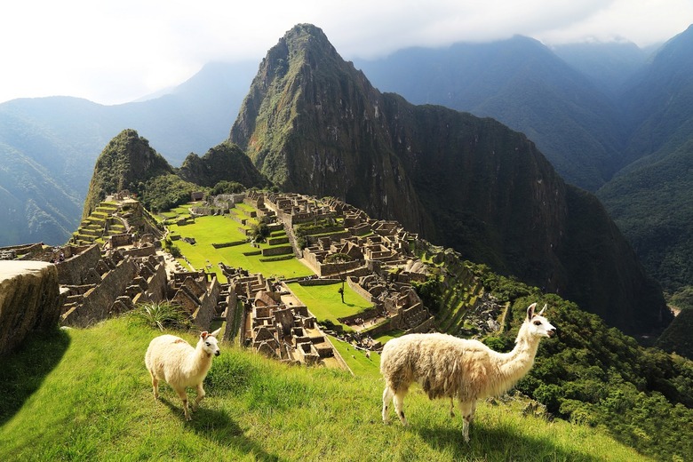 Hiking to Machu Picchu