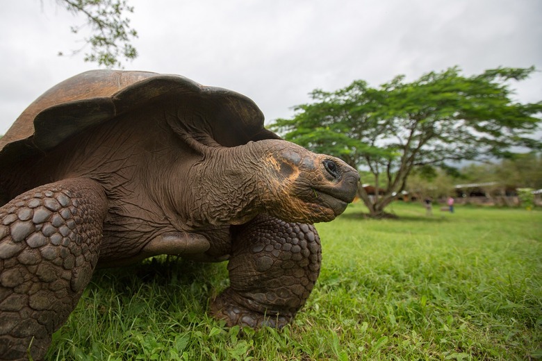 Nature Travel in Ecuador