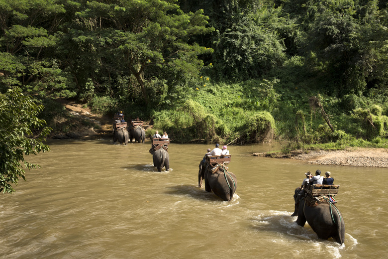 Riding an Elephant in Chiang Mai